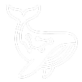 Whale AI